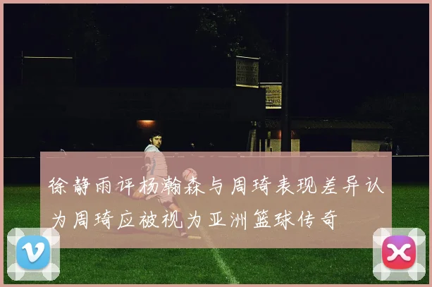 徐静雨评杨瀚森与周琦表现差异认为周琦应被视为亚洲篮球传奇