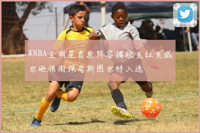 WNBA全明星首发阵容揭晓克拉克威尔逊领衔佩奇斯图尔特入选