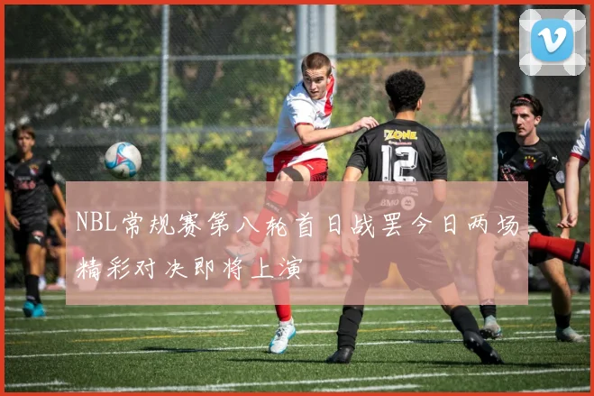 NBL常规赛第八轮首日战罢今日两场精彩对决即将上演